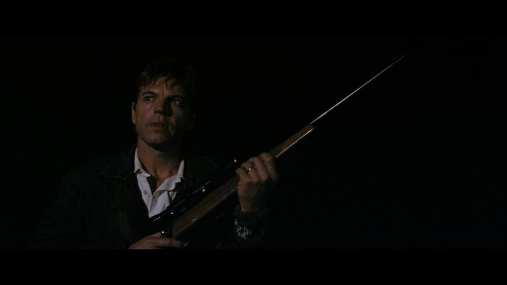 ディンゴの画像