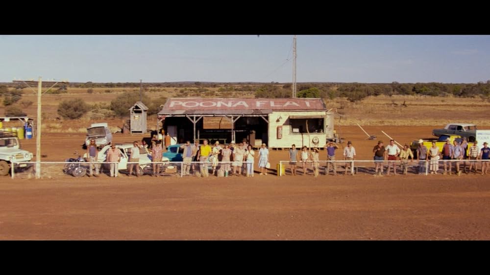 ディンゴの画像