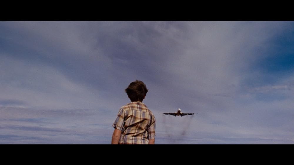 ディンゴの画像