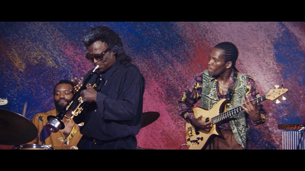 ディンゴの画像