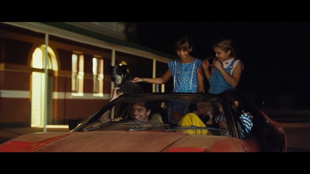 ディンゴの画像