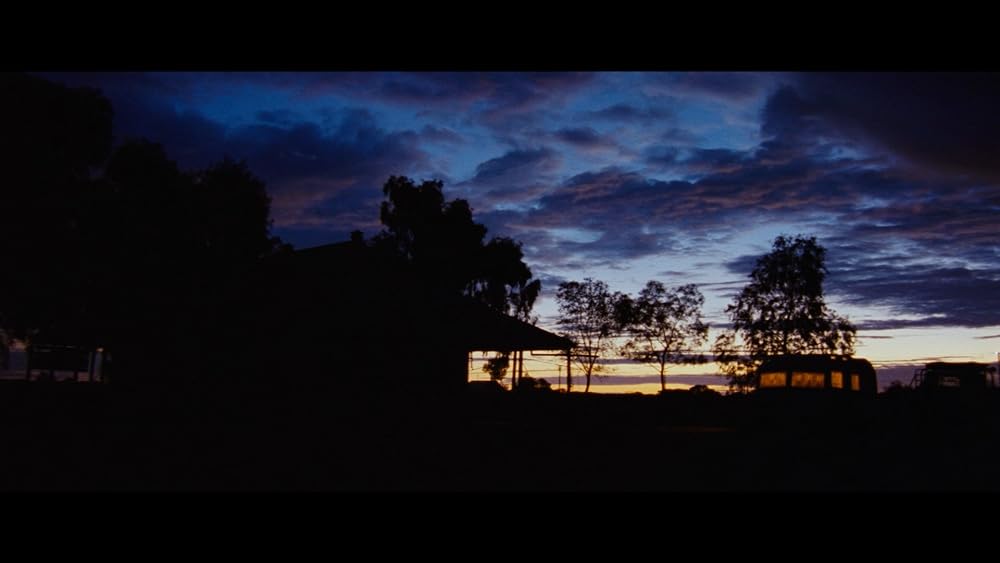 ディンゴの画像