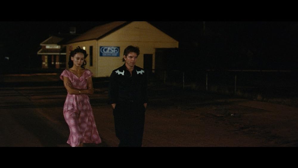 ディンゴの画像