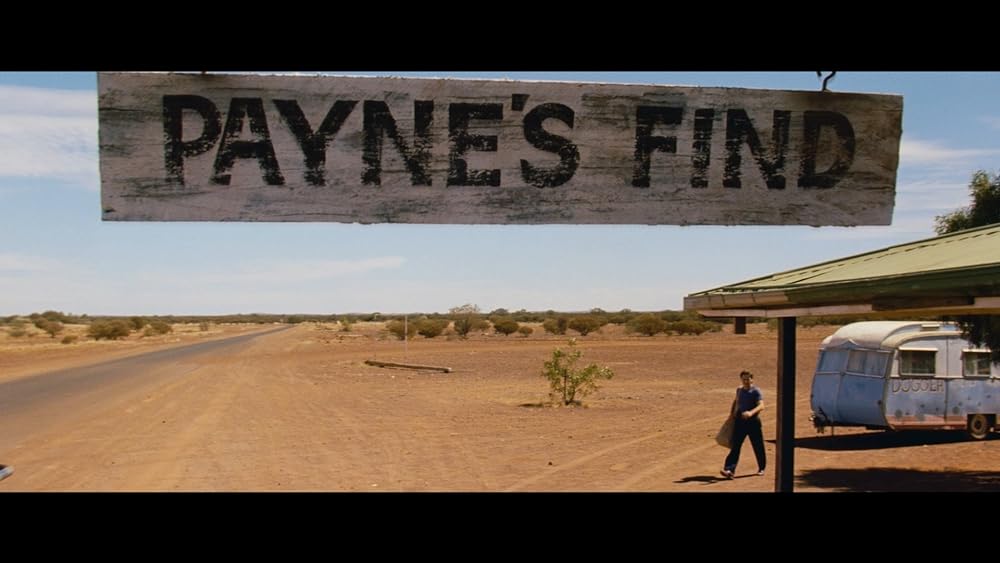 ディンゴの画像