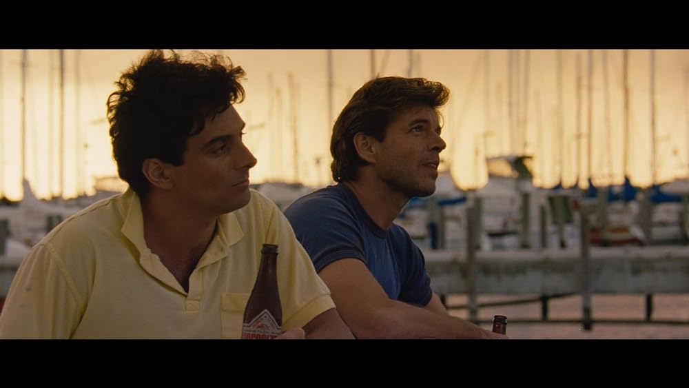 ディンゴの画像