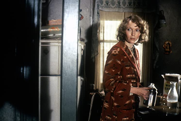 カイロの紫のバラの画像