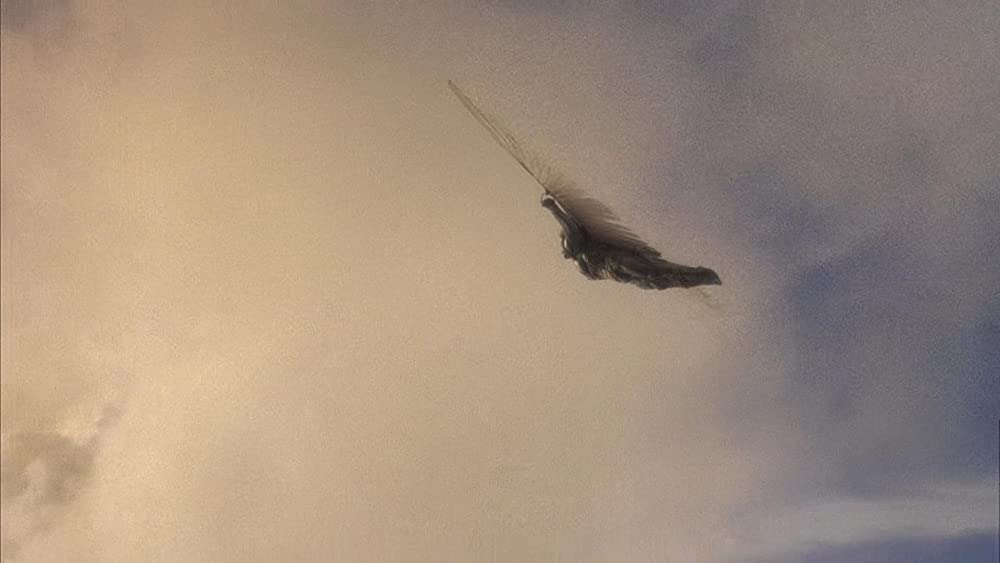 「未来世紀ブラジル」の画像