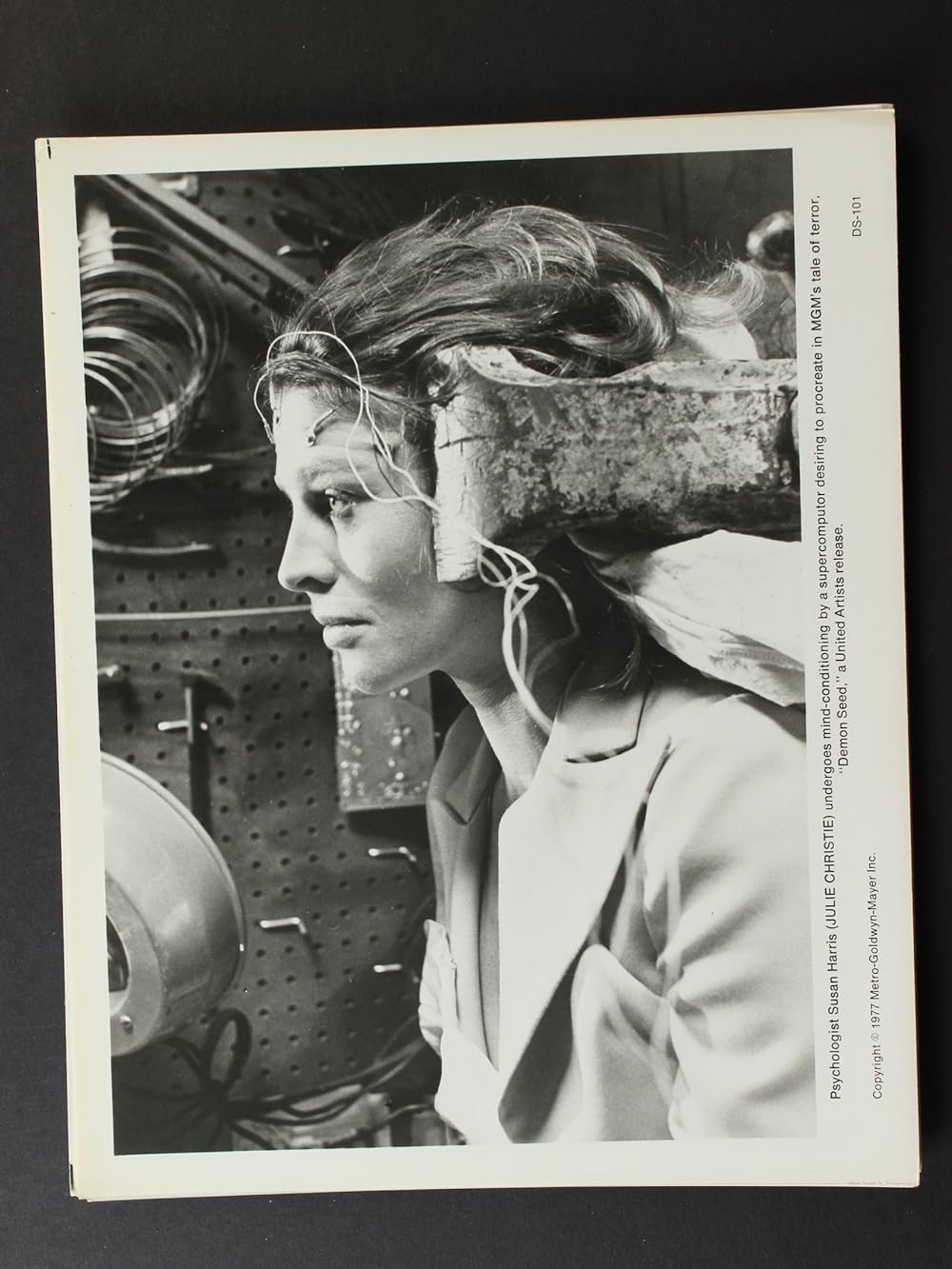 デモン・シードの画像