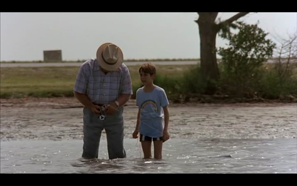 「コクーン」の画像