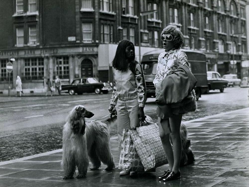 ジョアンナの画像