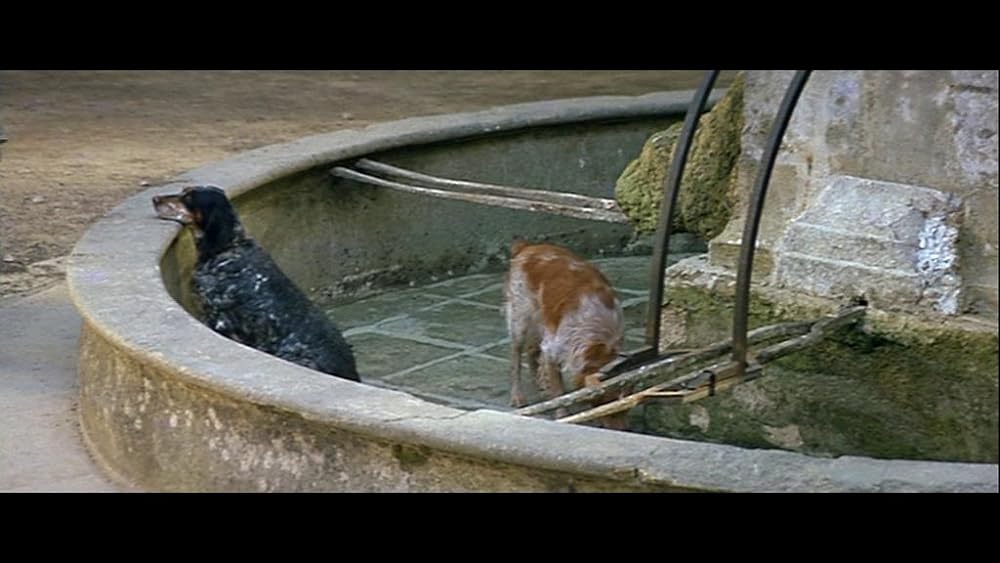 愛と宿命の泉 PART II／泉のマノンの画像