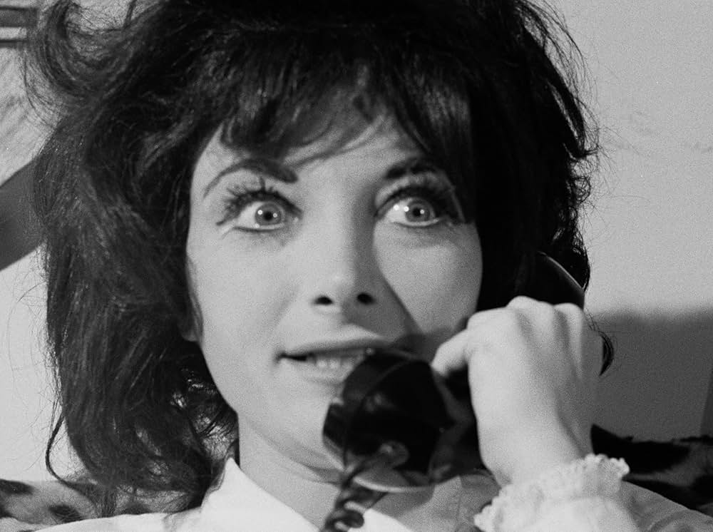 レイジング・キャット／サイコ・キャット 人間狩り乱舞交響曲の画像