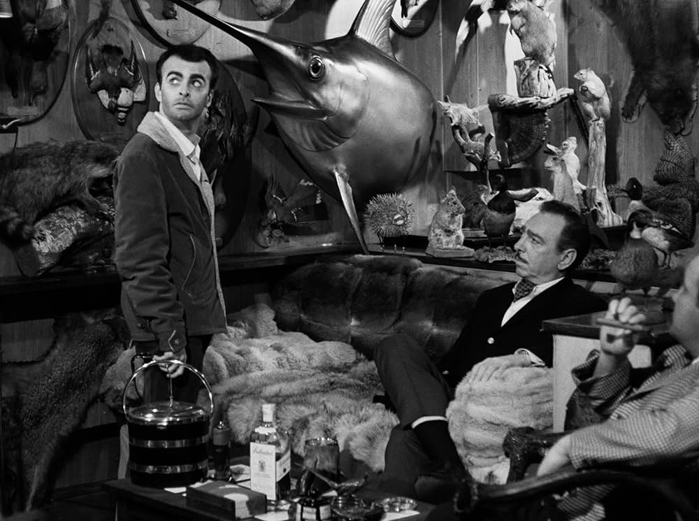 レイジング・キャット／サイコ・キャット 人間狩り乱舞交響曲の画像