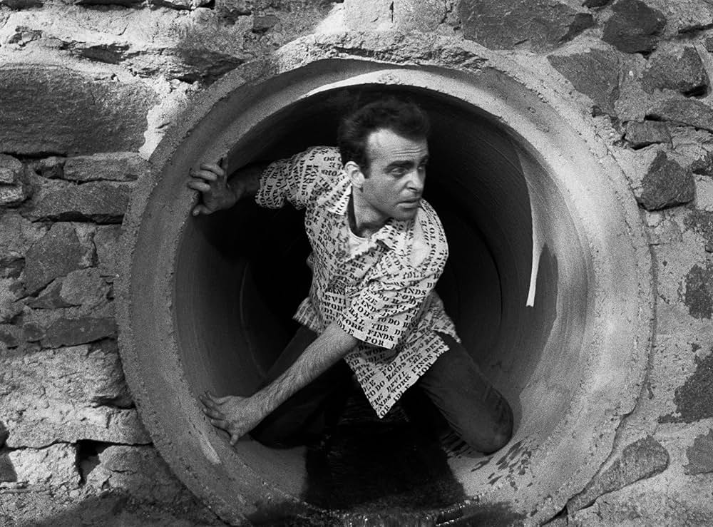 レイジング・キャット／サイコ・キャット 人間狩り乱舞交響曲の写真