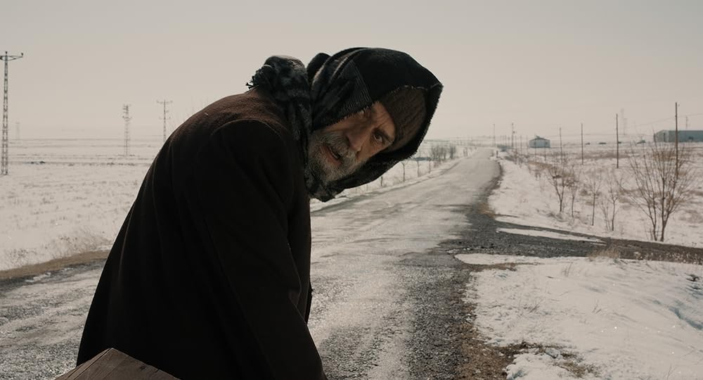 葬送のカーネーションの画像