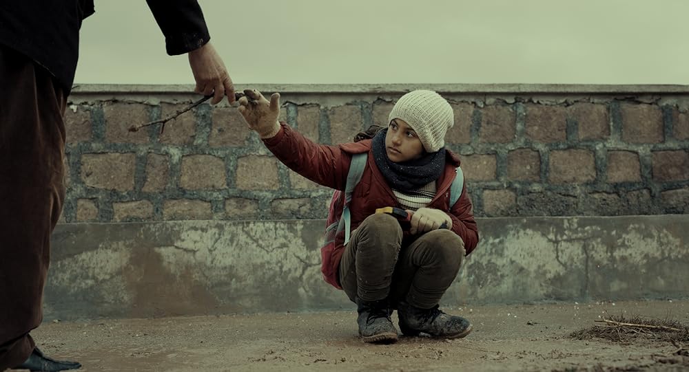 葬送のカーネーションの画像