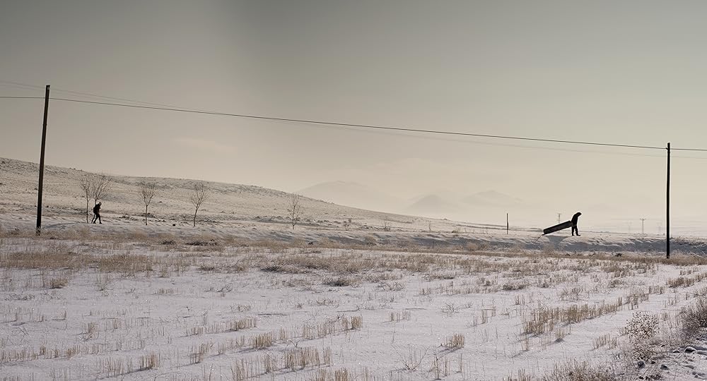 葬送のカーネーションの画像