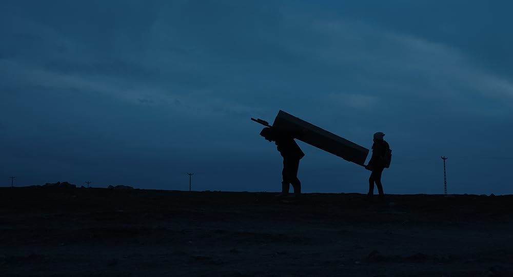 葬送のカーネーションの画像