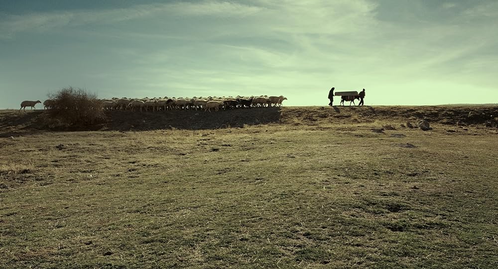 葬送のカーネーションの画像