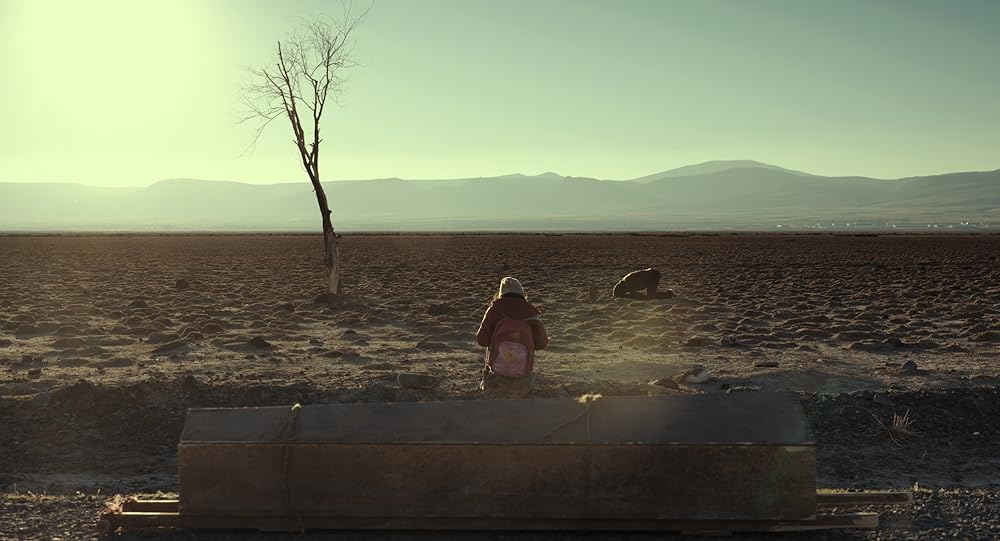 葬送のカーネーションの画像