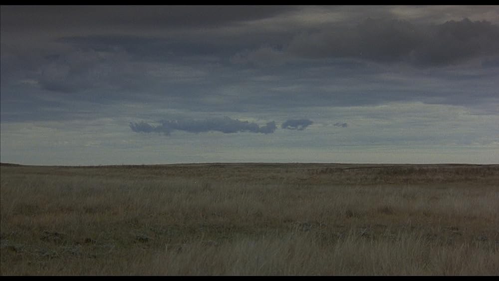 シルビーの帰郷の画像