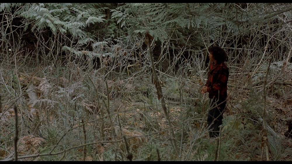 シルビーの帰郷の画像