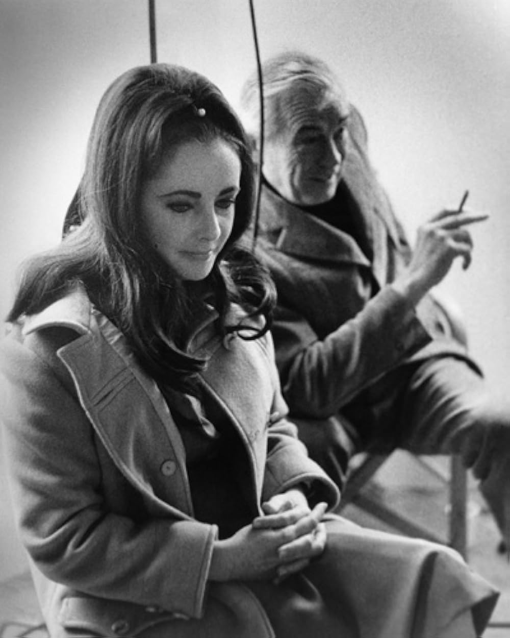 禁じられた情事の森の画像