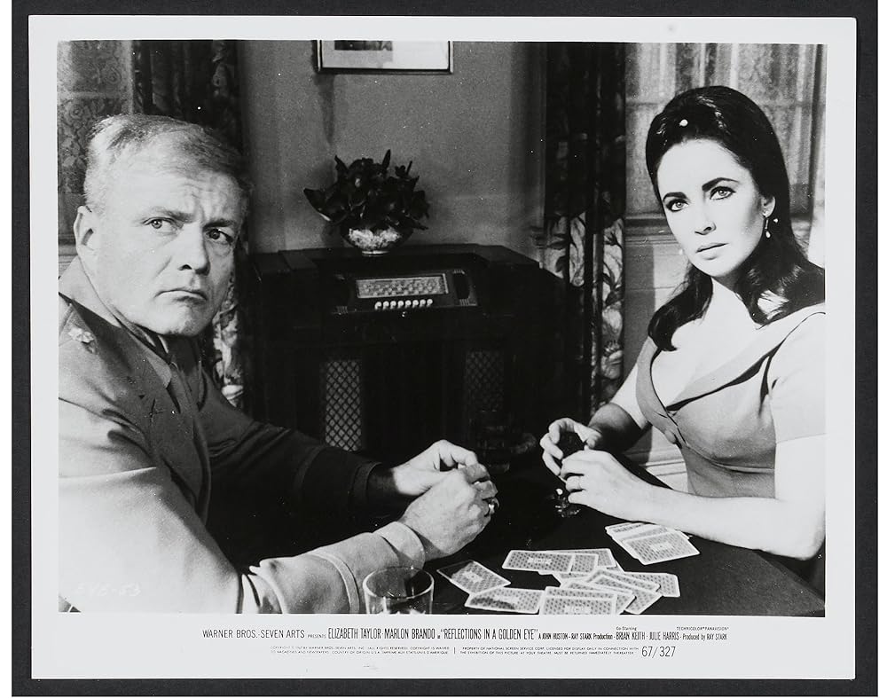 禁じられた情事の森の画像