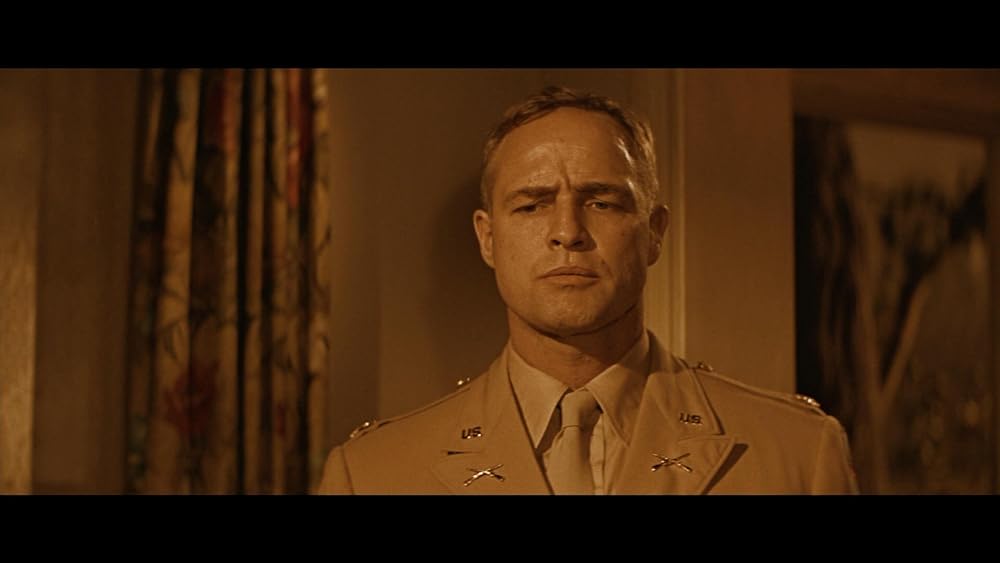 禁じられた情事の森の画像