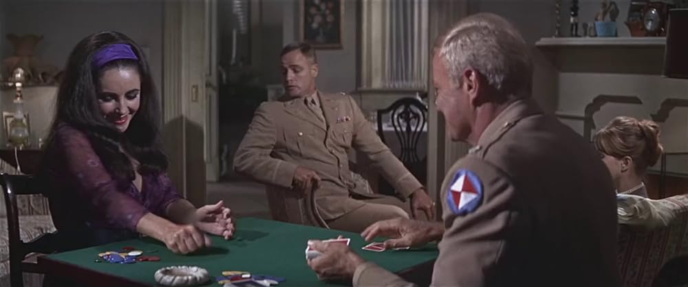 禁じられた情事の森の画像