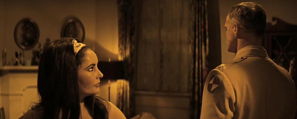 禁じられた情事の森の画像