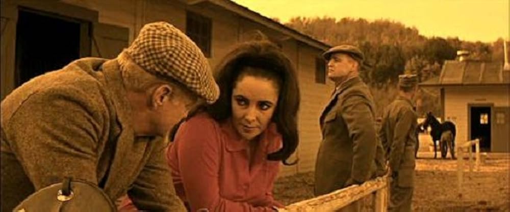 禁じられた情事の森の画像