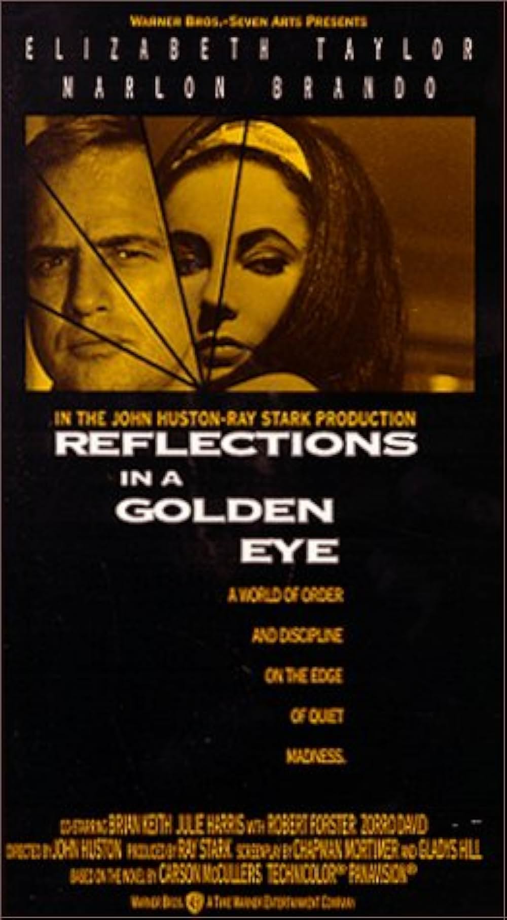 禁じられた情事の森の画像