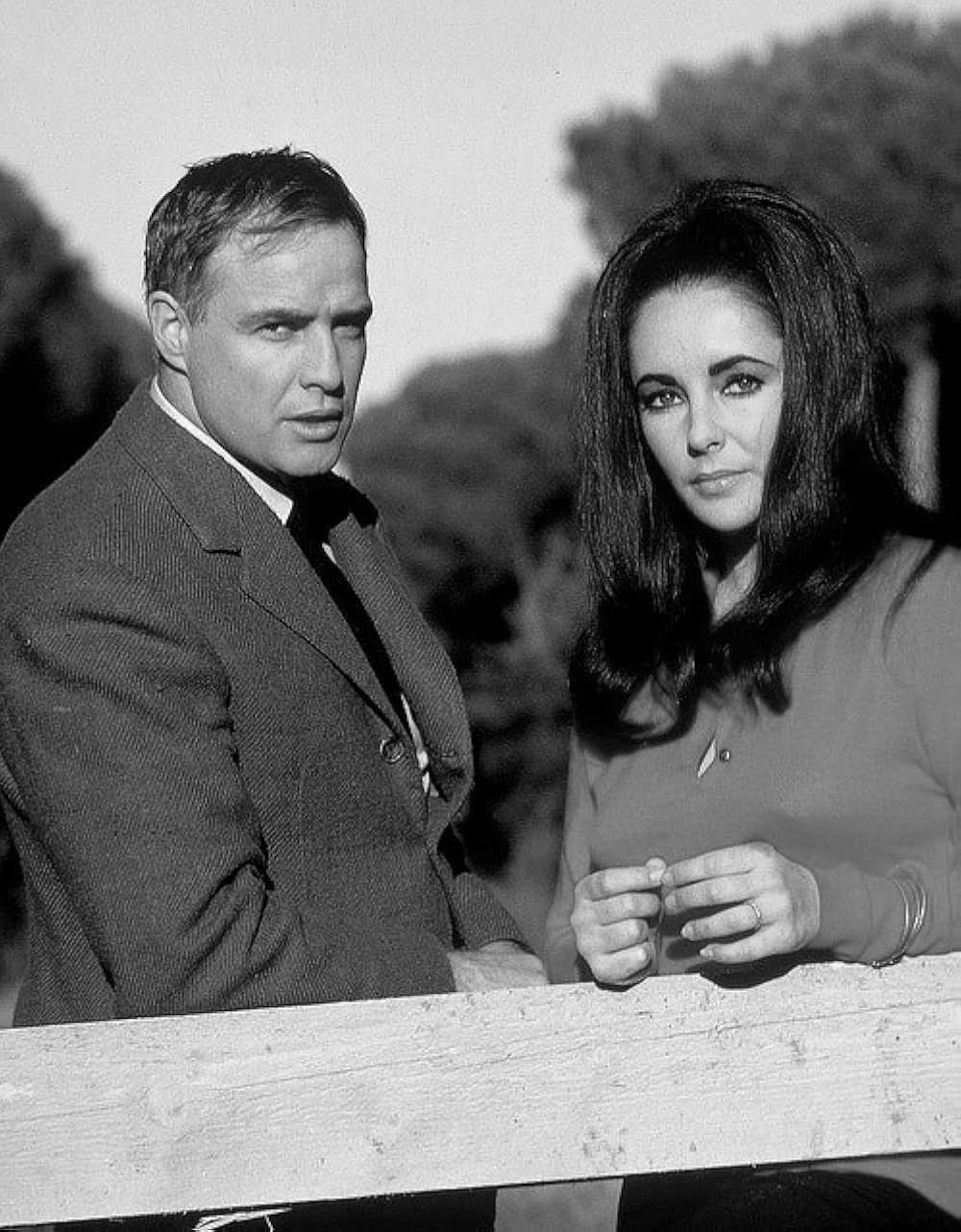 禁じられた情事の森の画像