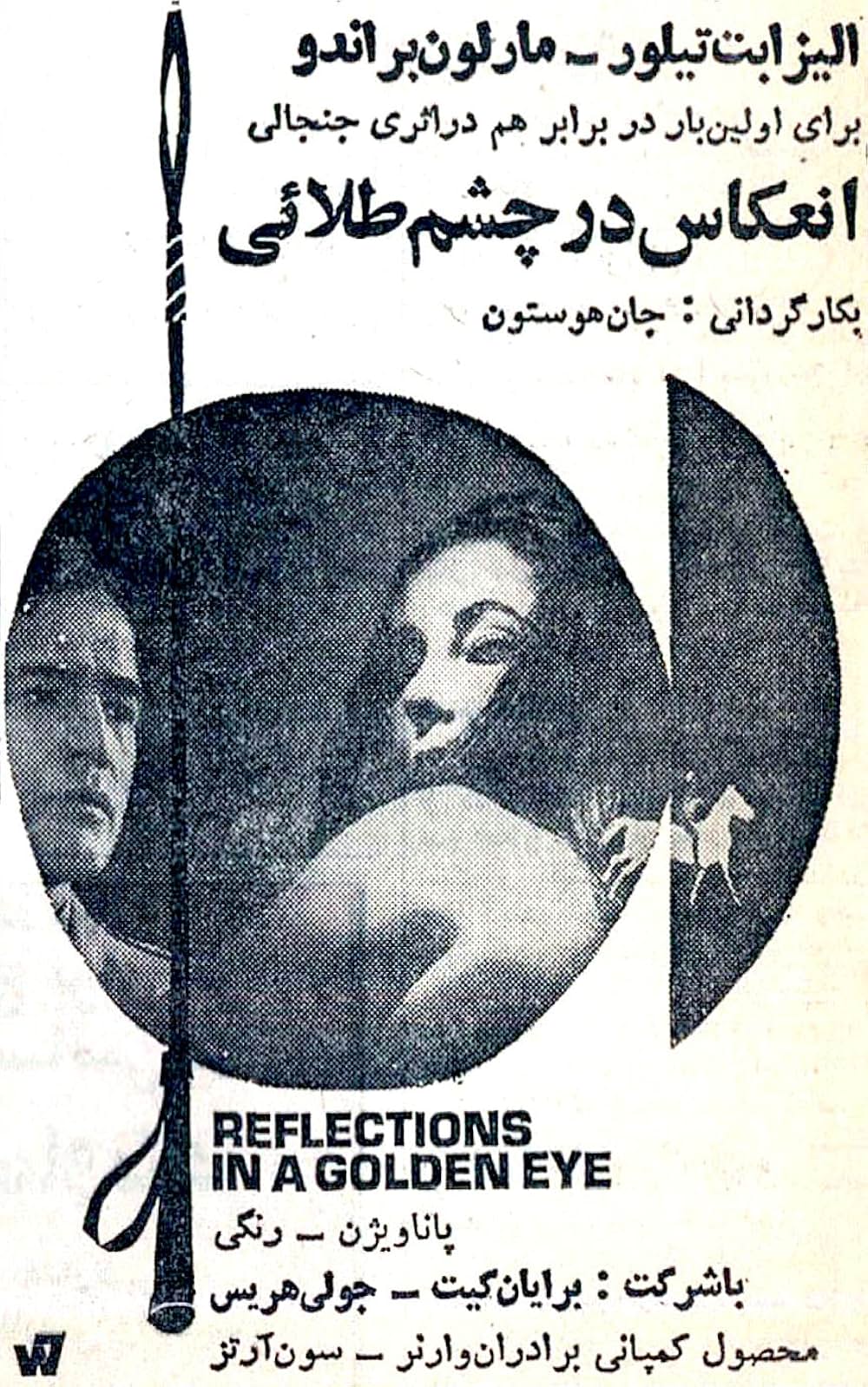 禁じられた情事の森の画像