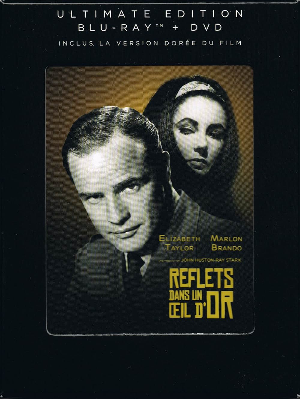 禁じられた情事の森の画像