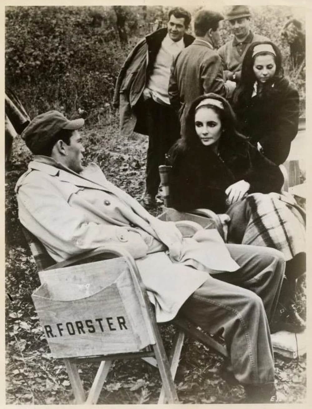 禁じられた情事の森の画像