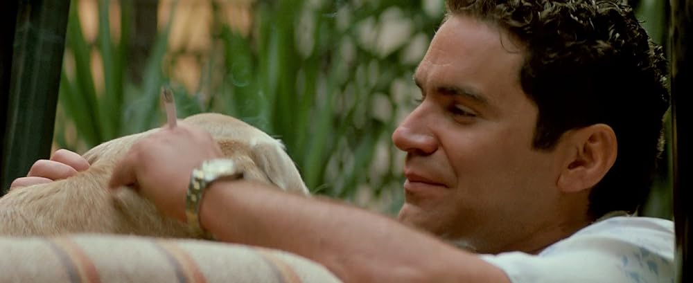 リベンジの画像