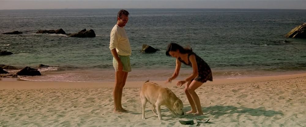 リベンジの画像