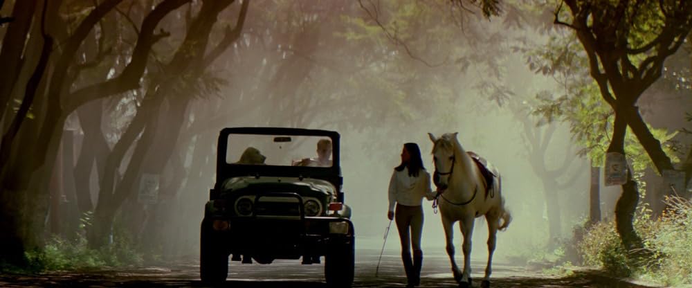 リベンジの画像