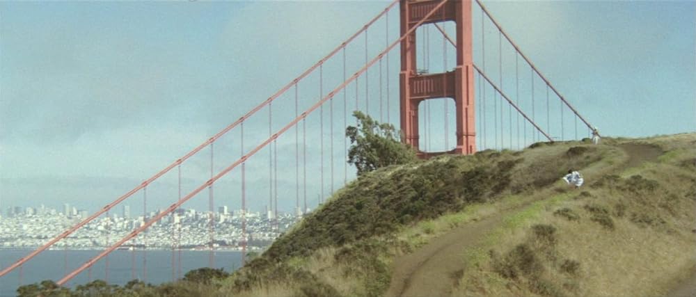 ふりむけば愛の画像