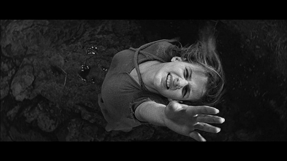 かもめの城の画像