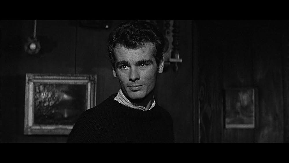 かもめの城の画像