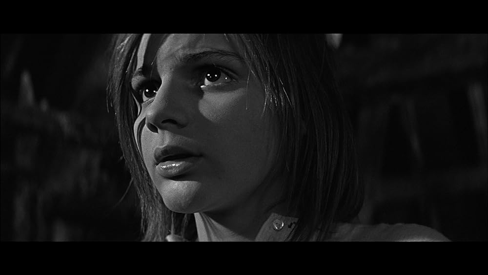 かもめの城の画像