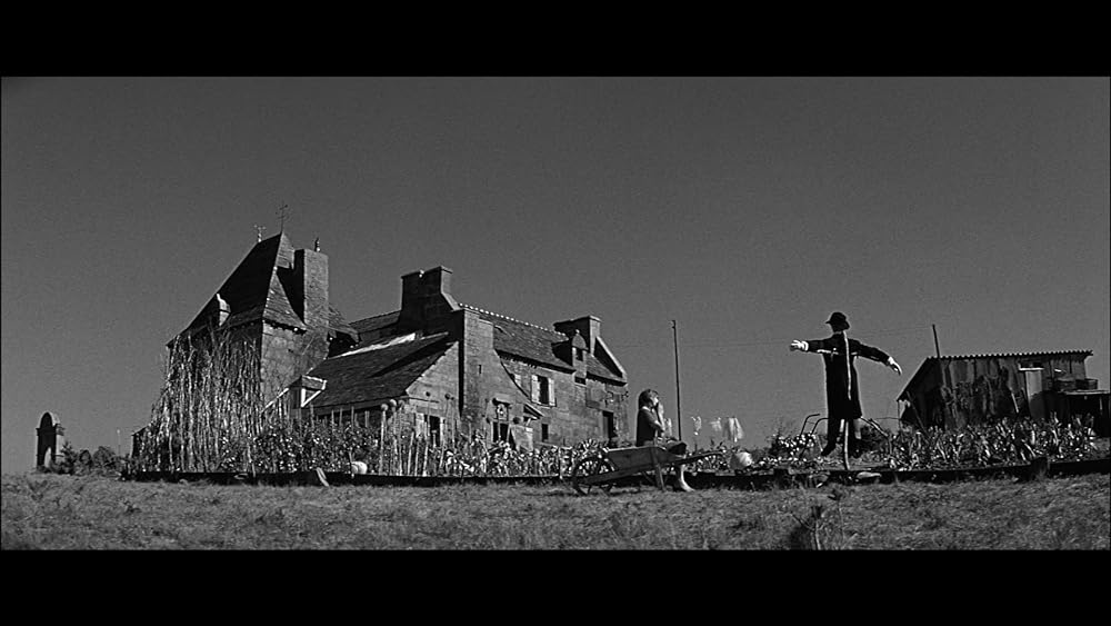 かもめの城の画像