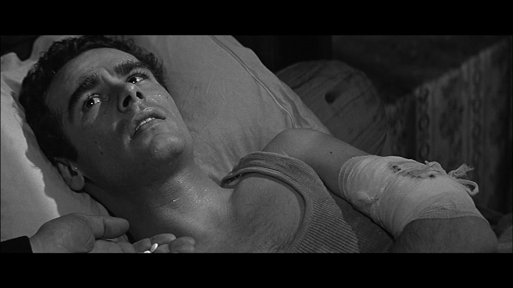 かもめの城の画像