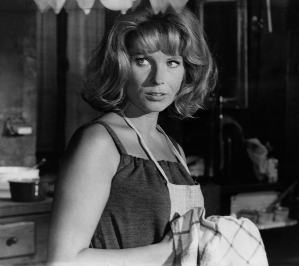 かもめの城の画像