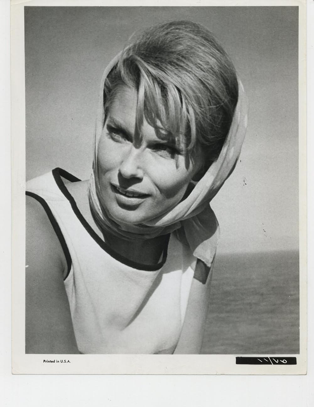 かもめの城の画像