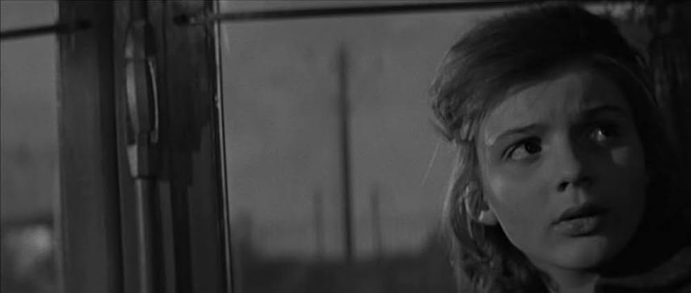 かもめの城の画像