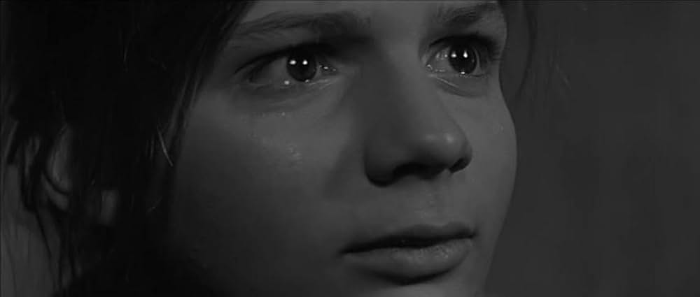 かもめの城の画像